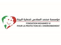 fondation-mohammed-vi-logo-F049918BDF-seeklogo.com